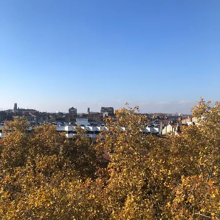 Apartment Hyper Centre Avec Parking Toulouse