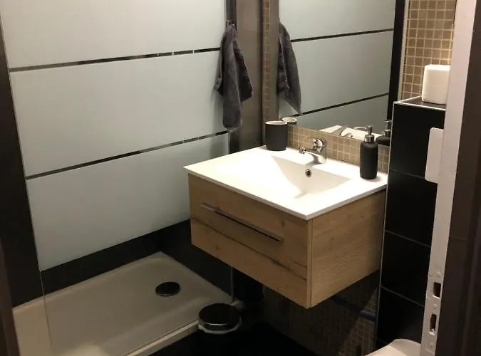 Hyper Centre Avec Parking Τουλούζη